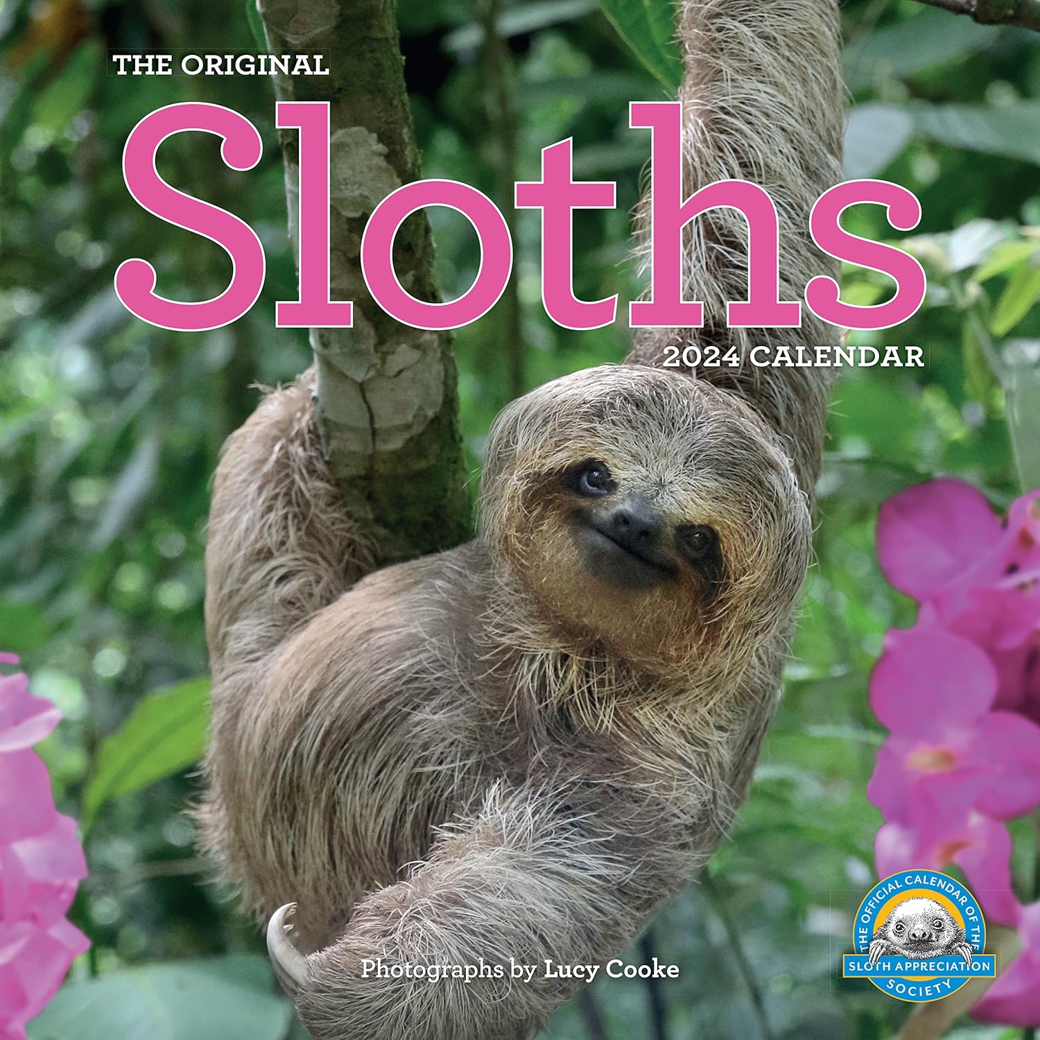 Sloths Calendar 2024